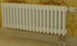 Низкий трубчатый радиатор Zehnder 3030 №V001 (10 секций)