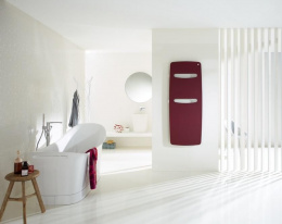Электрический полотенцесушитель Zehnder Vitalo Cut VITE-150-050/FD (белый)