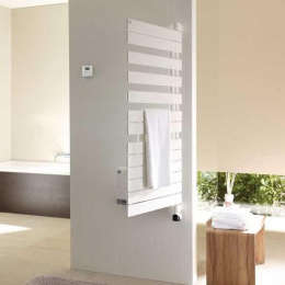 Электрический полотенцесушитель Zehnder Roda Air ROE-100-55/IPS (белый)