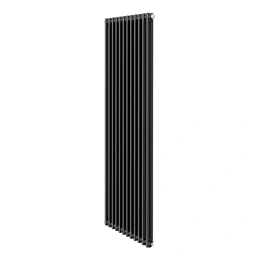 Дизайн-радиатор Royal Thermo Insignia VC2180 - 12 секций RAL9005m