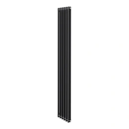Дизайн-радиатор Royal Thermo Insignia C2180 - 6 секций RAL9005m