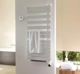 Электрический полотенцесушитель Zehnder Roda Air ROE-100-55/IPS (белый)