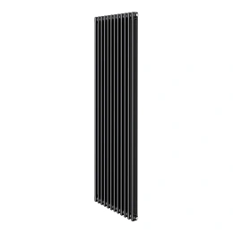 Дизайн-радиатор Royal Thermo Insignia C2180 - 12 секций RAL9005m
