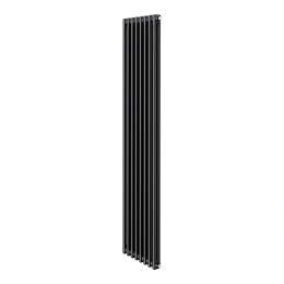 Дизайн-радиатор Royal Thermo Insignia C2180 - 8 секций RAL9005m